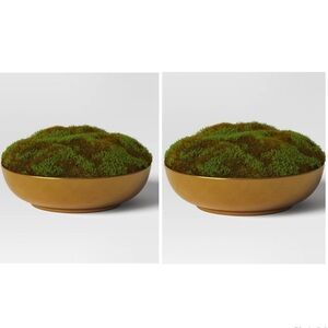 Set of 2 Threshold Moss in Gold Bowl Faux Floral Indoor Tabletop Display
